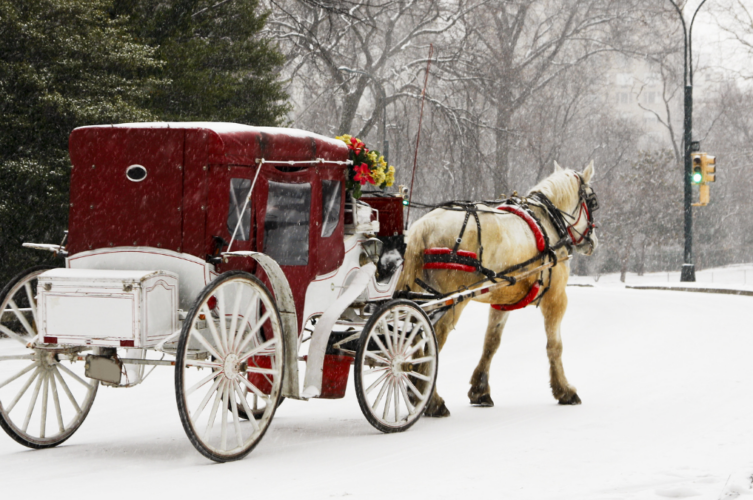 Horse-drawn carriage in Central Park during a snowy New York City winter day.