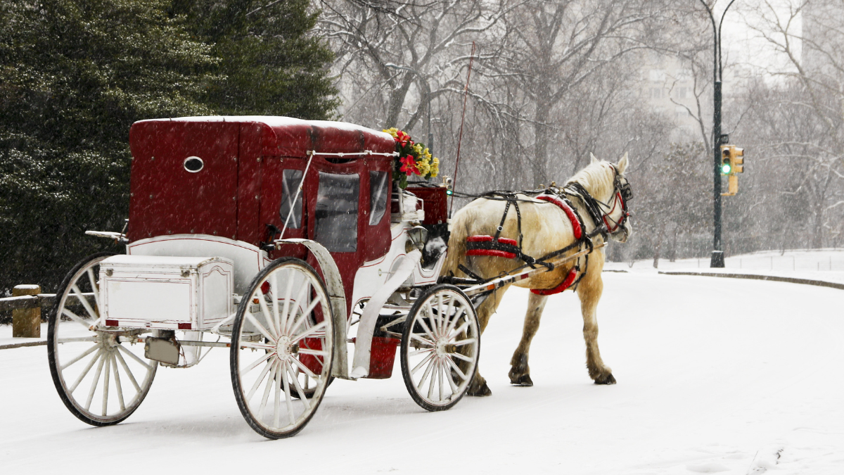 Horse-drawn carriage in Central Park during a snowy New York City winter day.