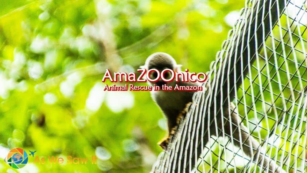amazoonico South America