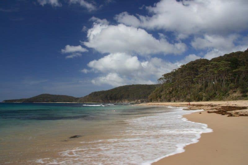 Gentle waves roll onto the sand at Pebbly Beach, South Coast NSW Australia. Tree-covered hills along the coast in the background.