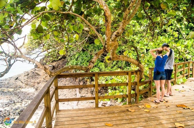 Walkway to Red Frog territory.