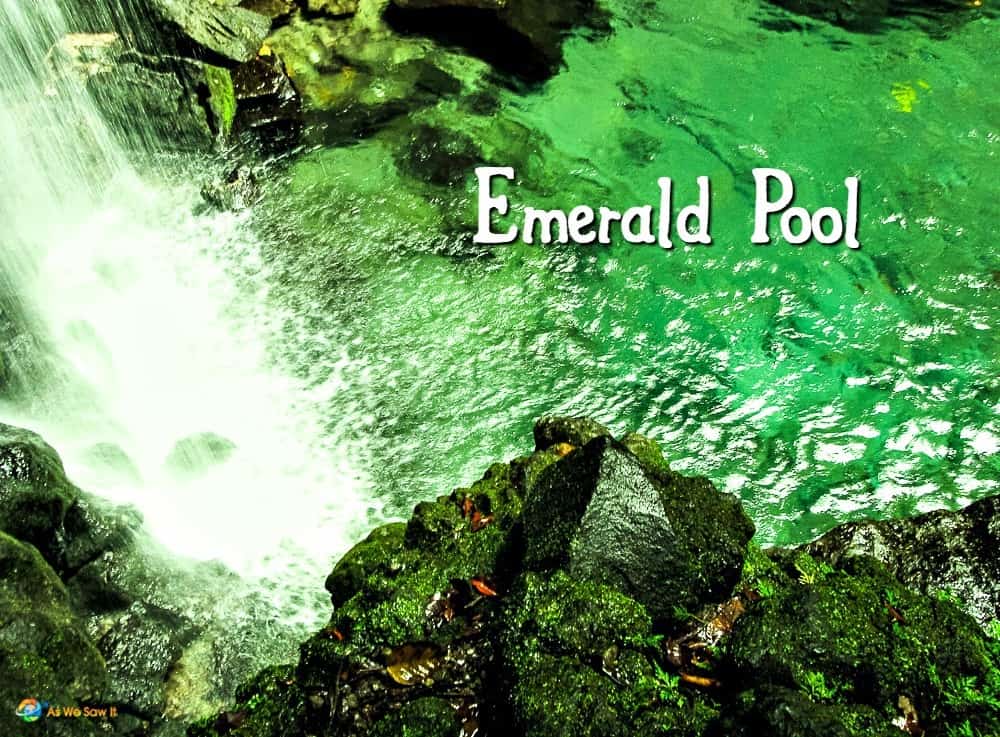 Green water of Emerald Pool, Dominica