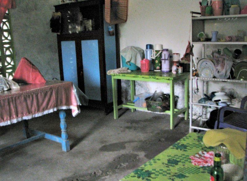 The kitchen only has a table and shelves. No stove, no sink.