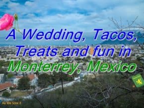 A Wedding, tacos, treats and fun in Monterrey Mexico