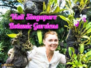 singapore botanic gardens Singapore, Asia, Destinations, Experiences