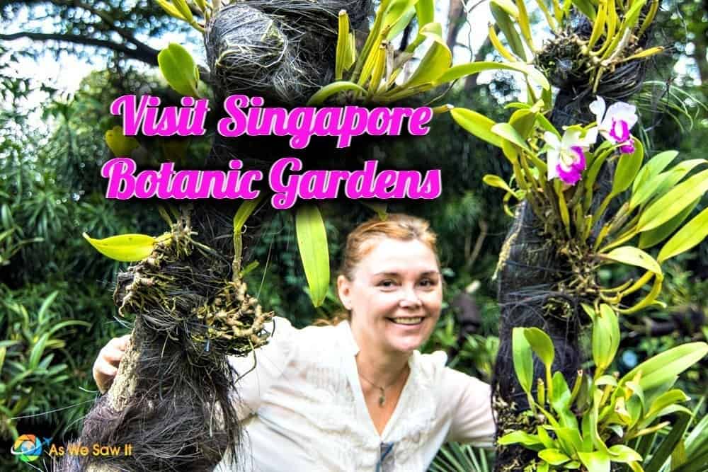 singapore botanic gardens Singapore, Asia, Destinations, Experiences