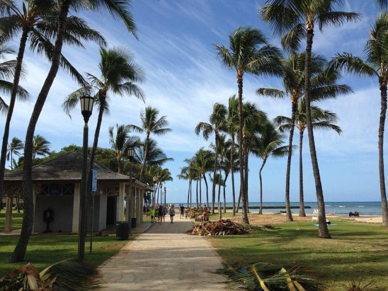 Sandy walkway on a palm beach in Hawaii